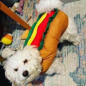 Hotdog 🌭 dog costume